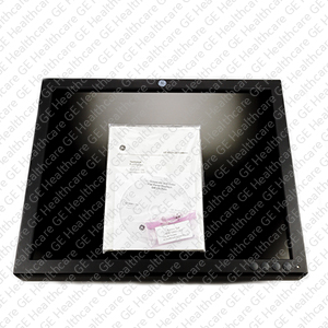 19" Black and White LCD without Stand EIZO GMBH