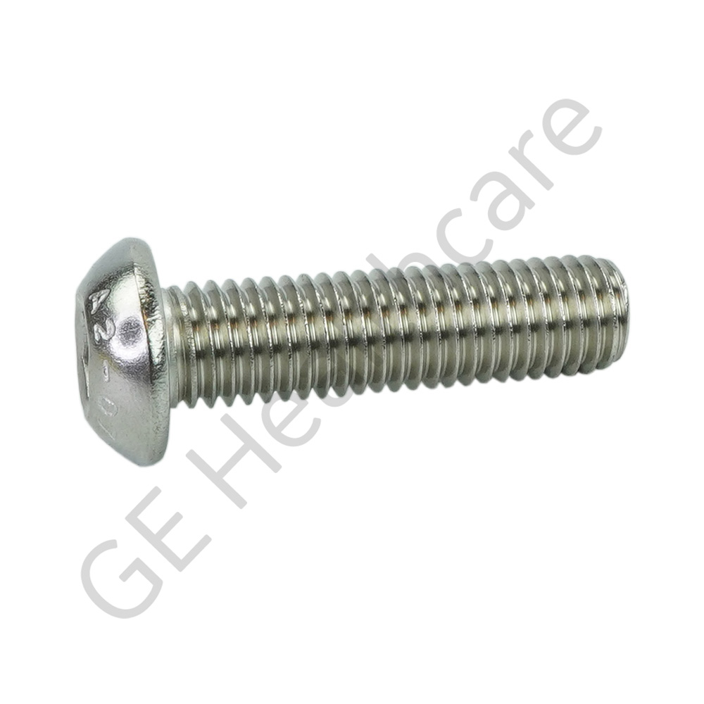 Screw M12 Socket Head SST Screw M12 Socket Head SST